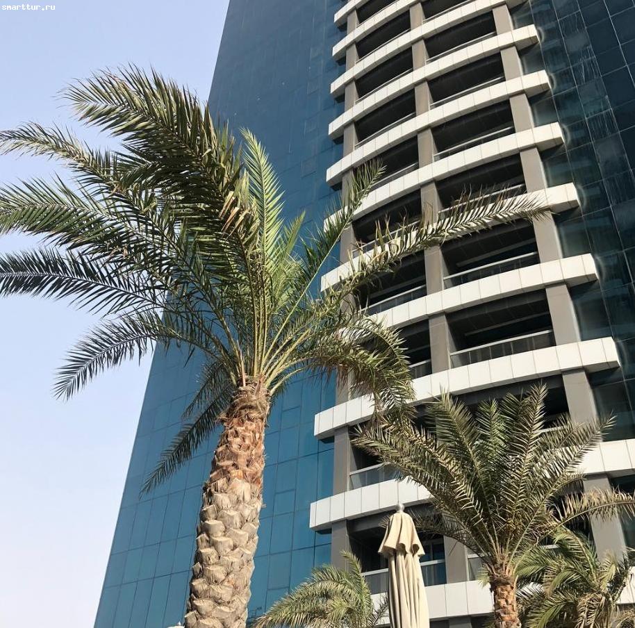 тур в ОАЭ отель Golden Tulip Al Barsha фото ОАЭ - Golden Tulip Al Barsha