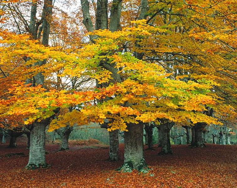 Gorbea Natural Park