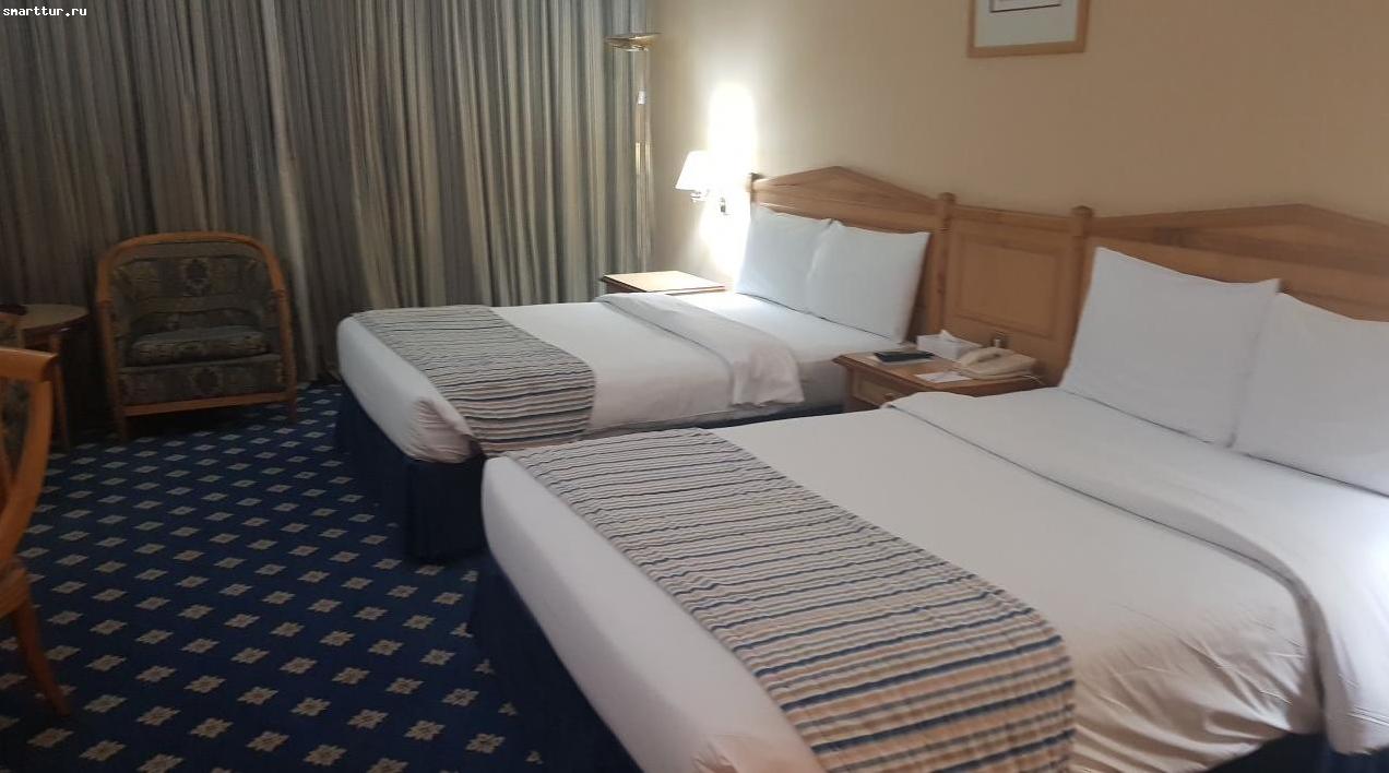 тур в ОАЭ отель Grand Continental Flamingo фото ОАЭ - Grand Continental Flamingo